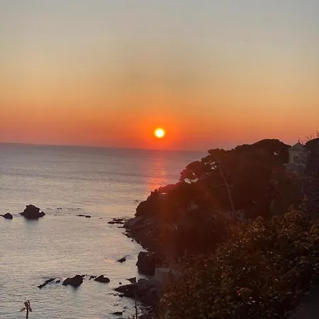 Wine Loft Apartment Bogliasco
